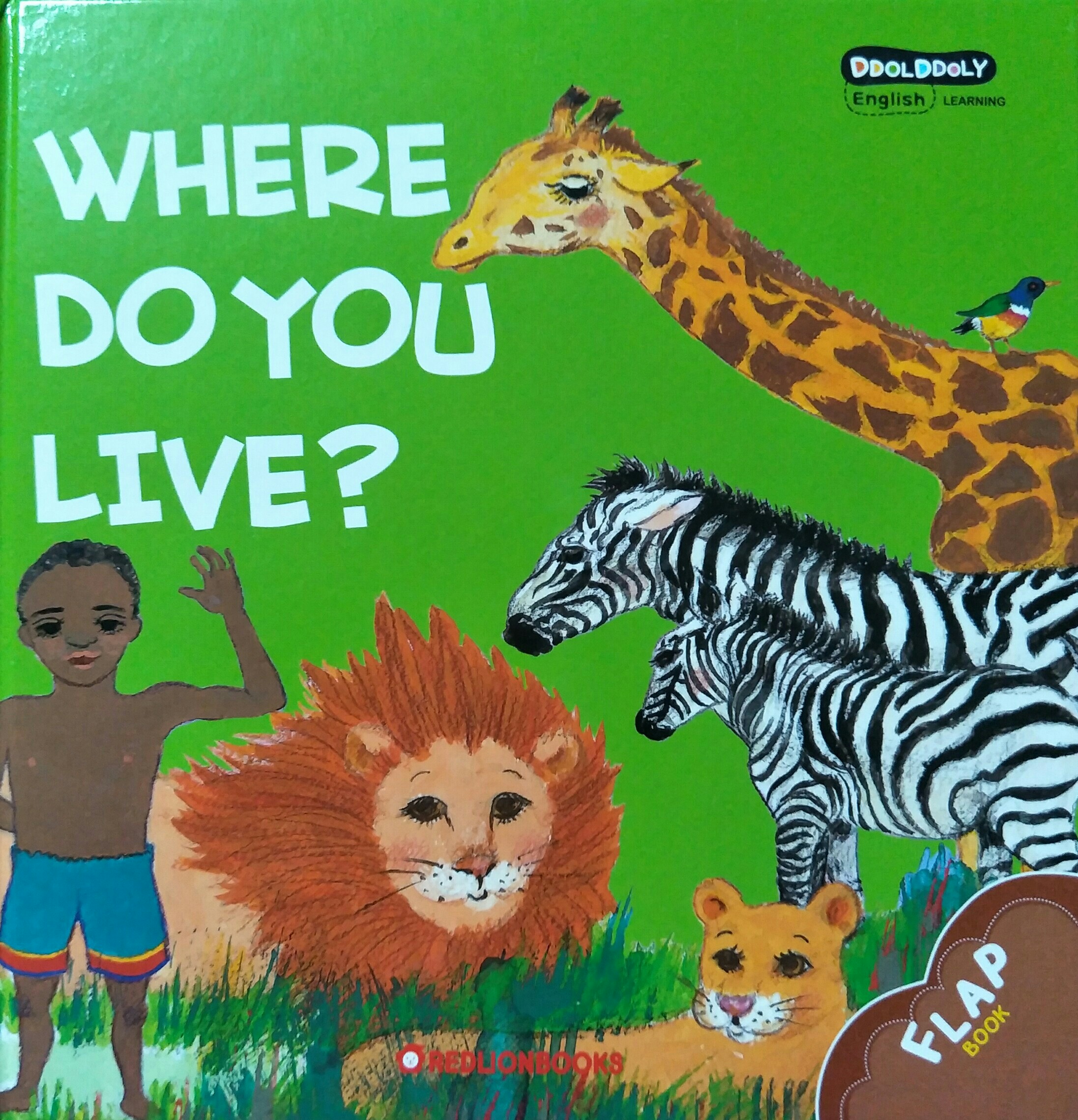 Ddolddoly 46 Where do you live?