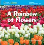 A Rainbow of Flowers