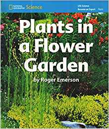 Plants in a Flower Garden