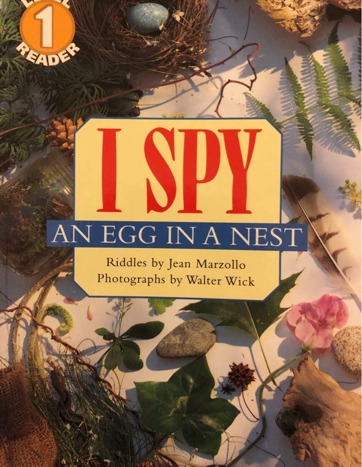 I spy an egg in a nest