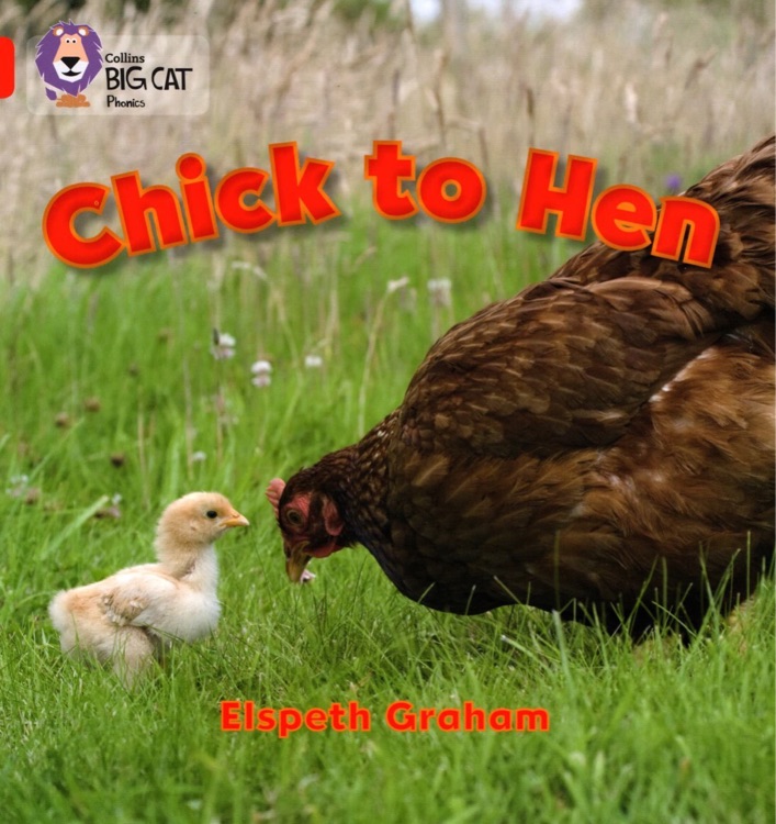 Chick to Hen(Collins Big Cat Phonics)