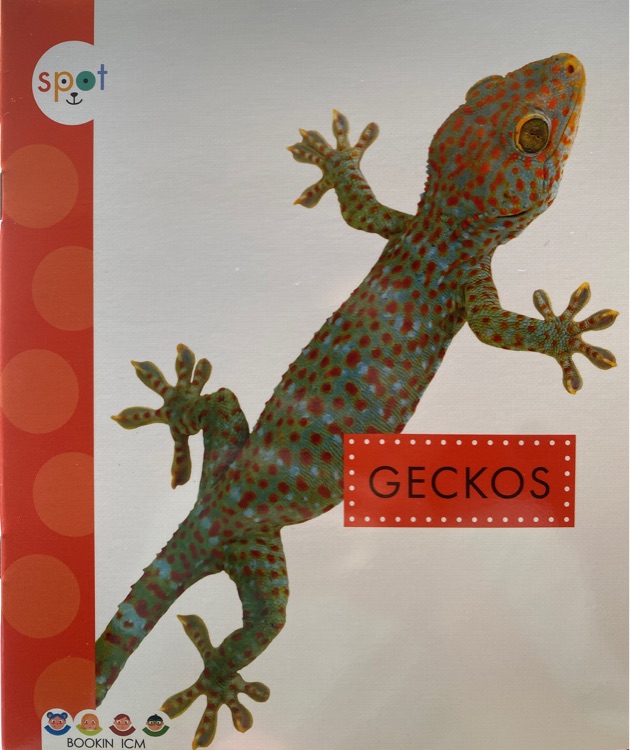 GECKOS