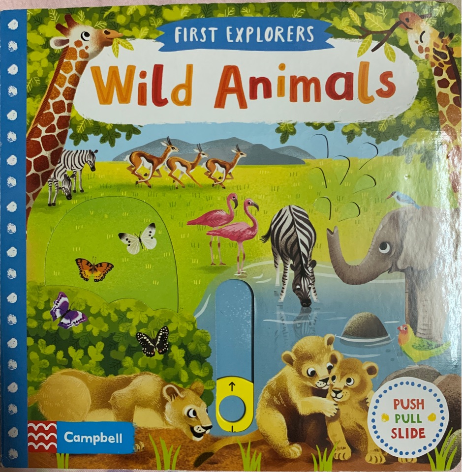 wild   animals