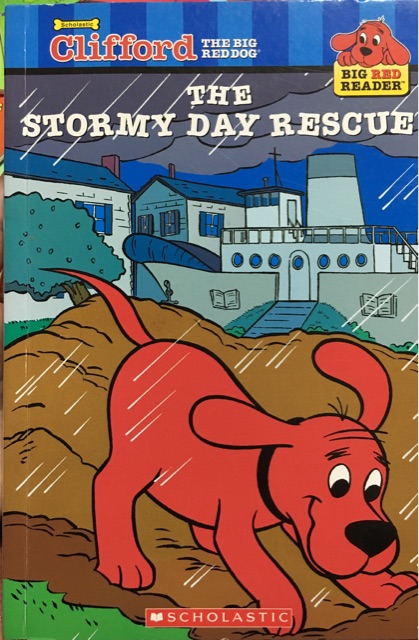 The Stormy Day Rescue