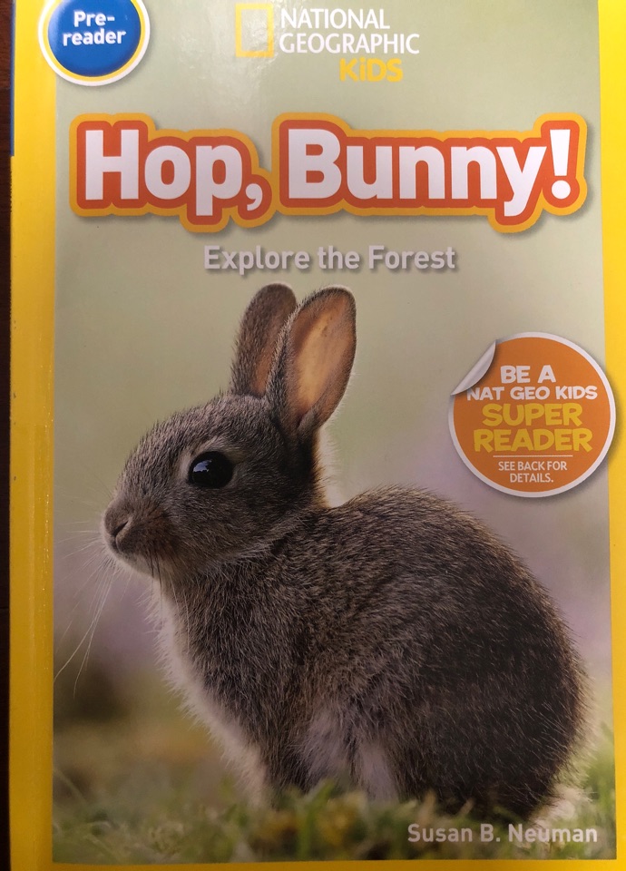 Hop, Bunny