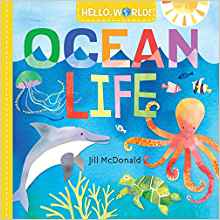 Hello, World! Ocean Life