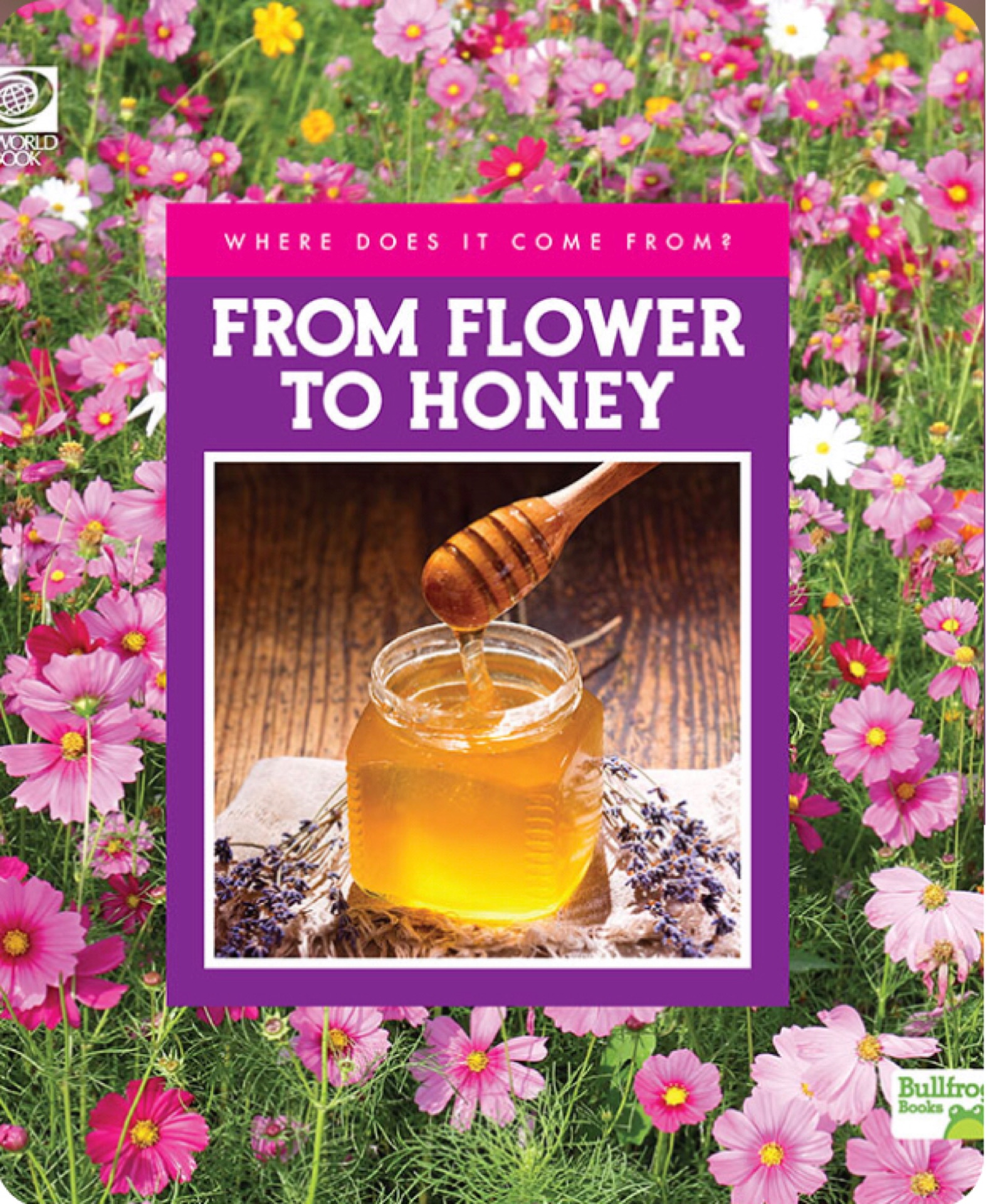 From Flower to Honey (Bullfrog Books: 