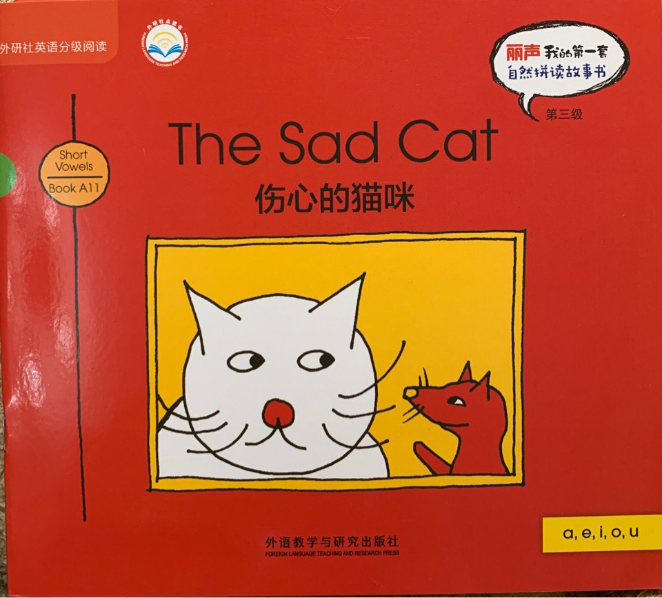 The Sad Cat