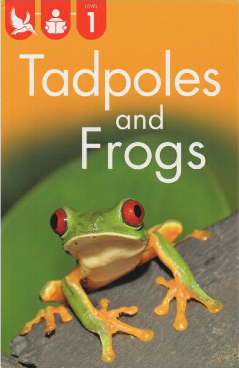 Kingfisher Readers L1: Tadpoles and Fr