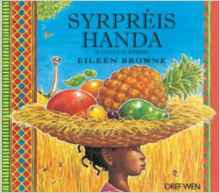 Syrpris Handa (Welsh Edition)