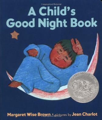 A Child's Good Night Book