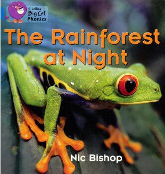 The Rainforest at Night(Collins Big Ca