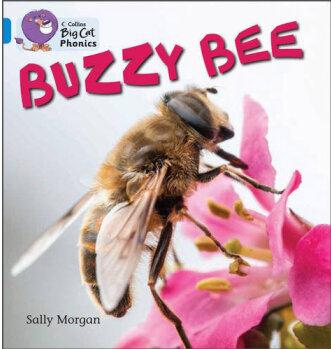 Buzzy Bees(Collins Big Cat Phonics)