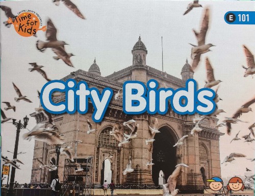 海尼曼101:City Birds