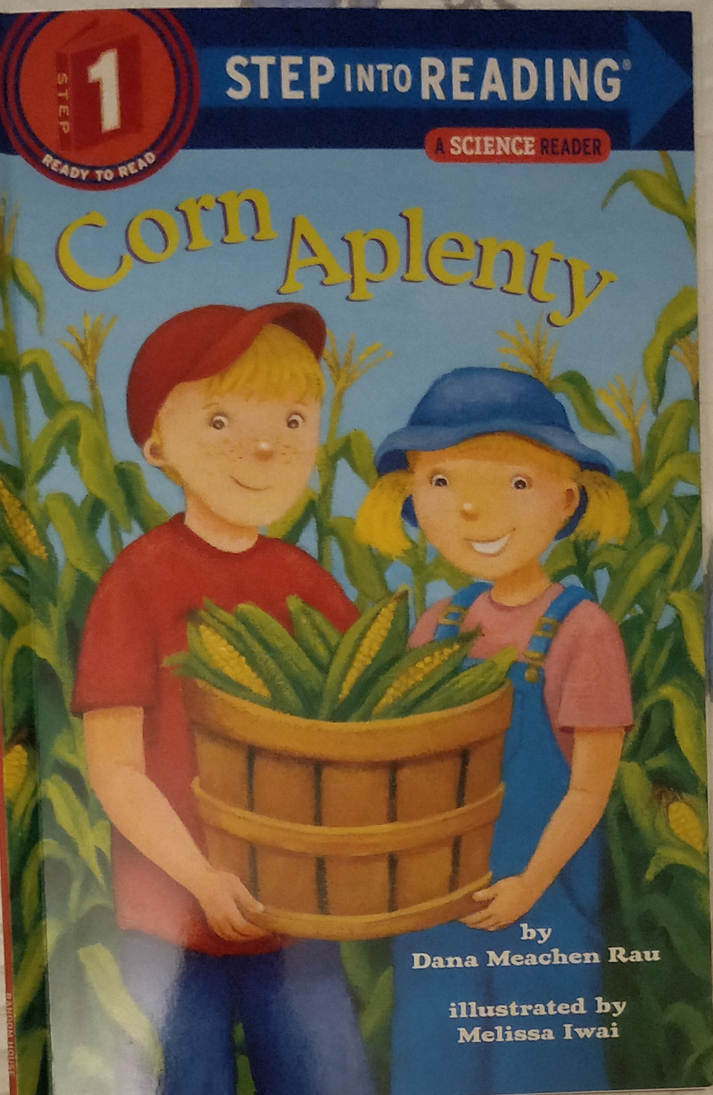 Corn Aplenty