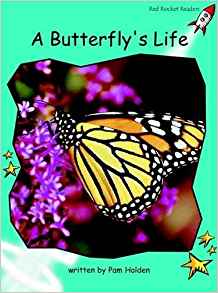 A Butterfly's Life: Fluency (Red Rocke