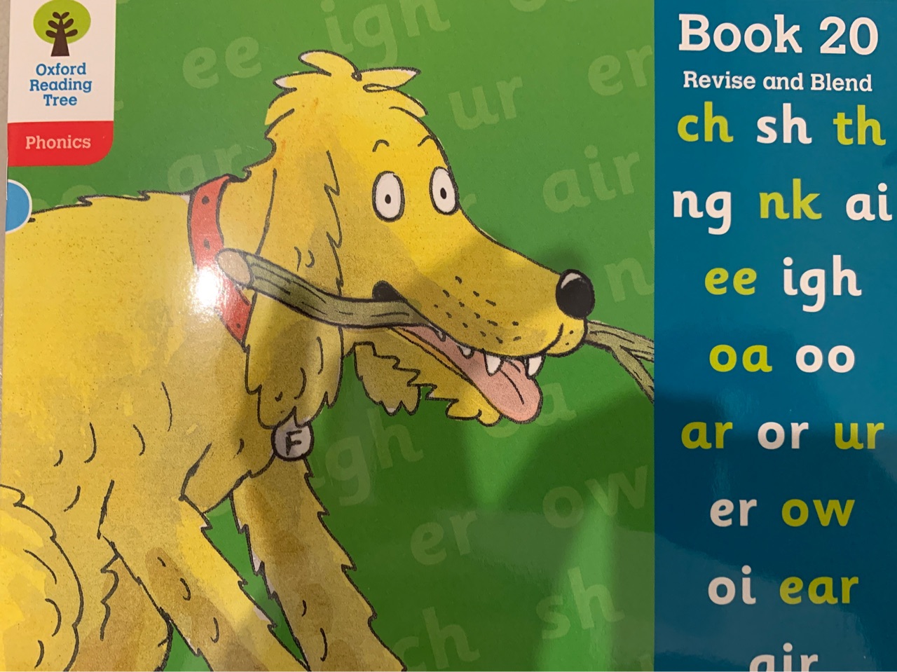 Oxford Reading Tree Level 4: Book 20 R