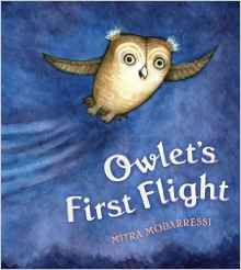 Owlet's First Flight