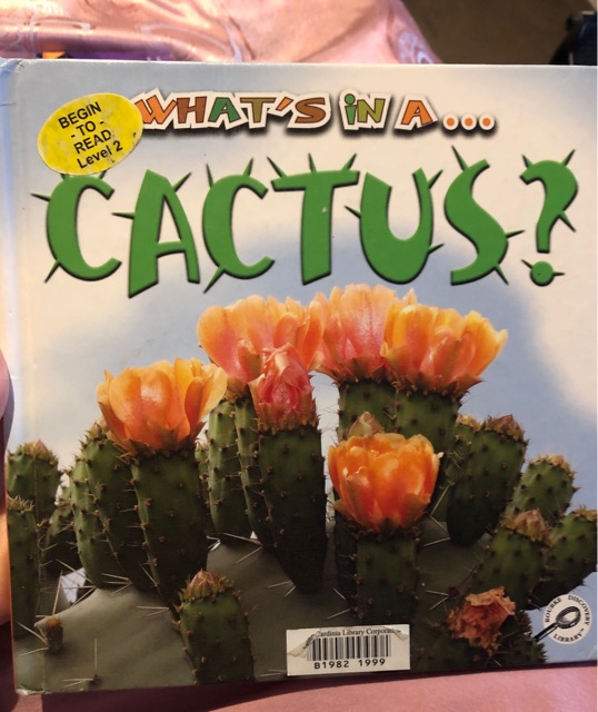 What's in a cactus?