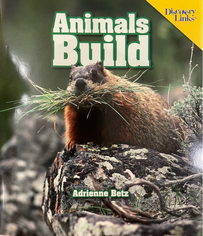 Animals Build