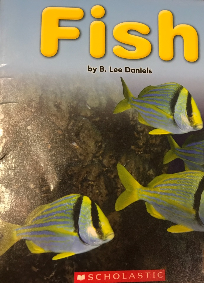Fish