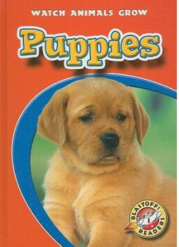 Puppies  [04--08]