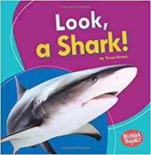 Look, a Shark! (Bumba Books I See Ocea