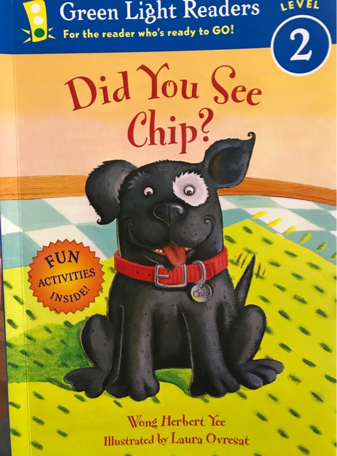 Did You See Chip? (Green Light Readers