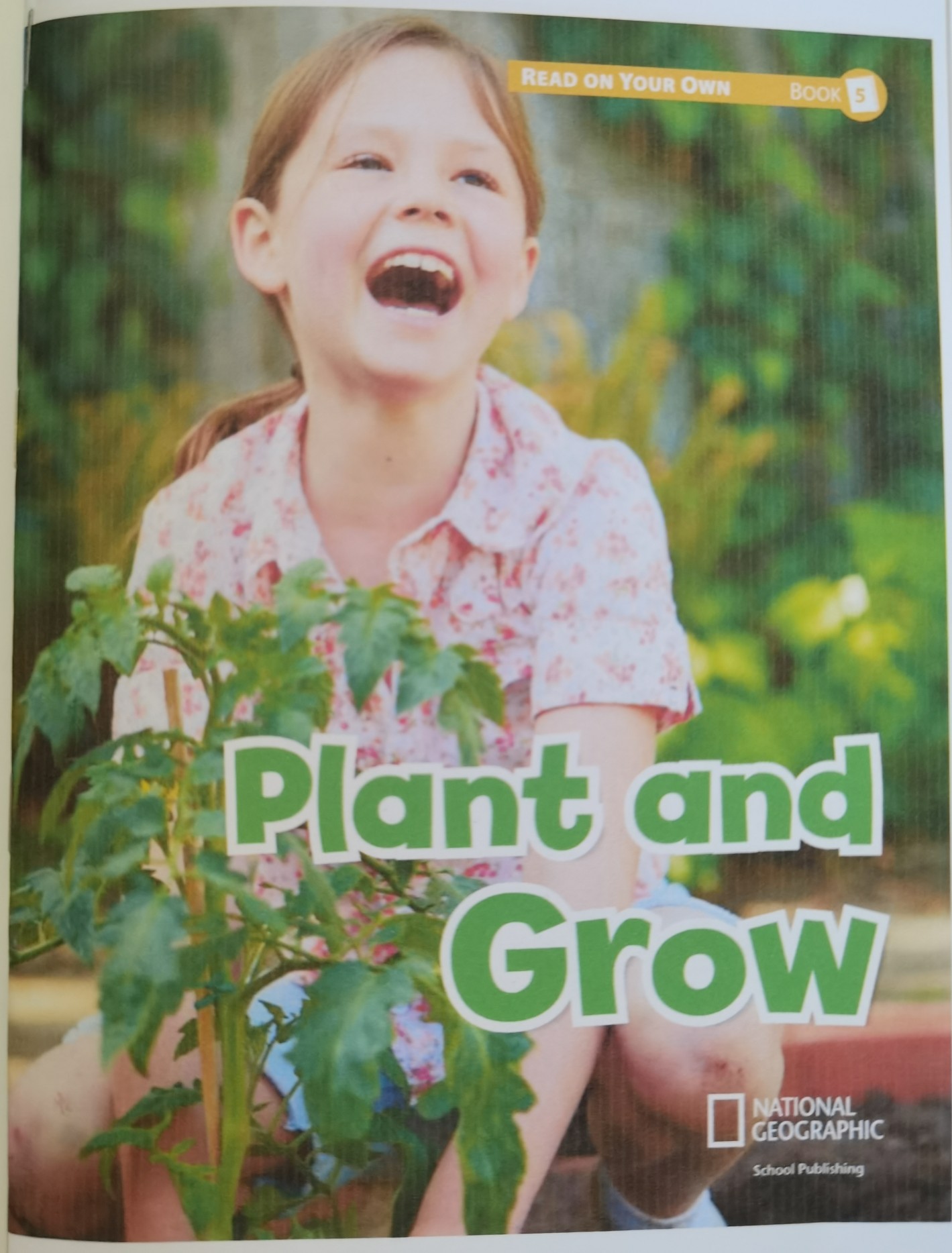 Reach into Phonics 1 (Read On Your Own