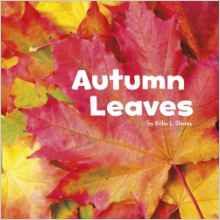 Autumn Leaves (Little Pebble: Celebrat