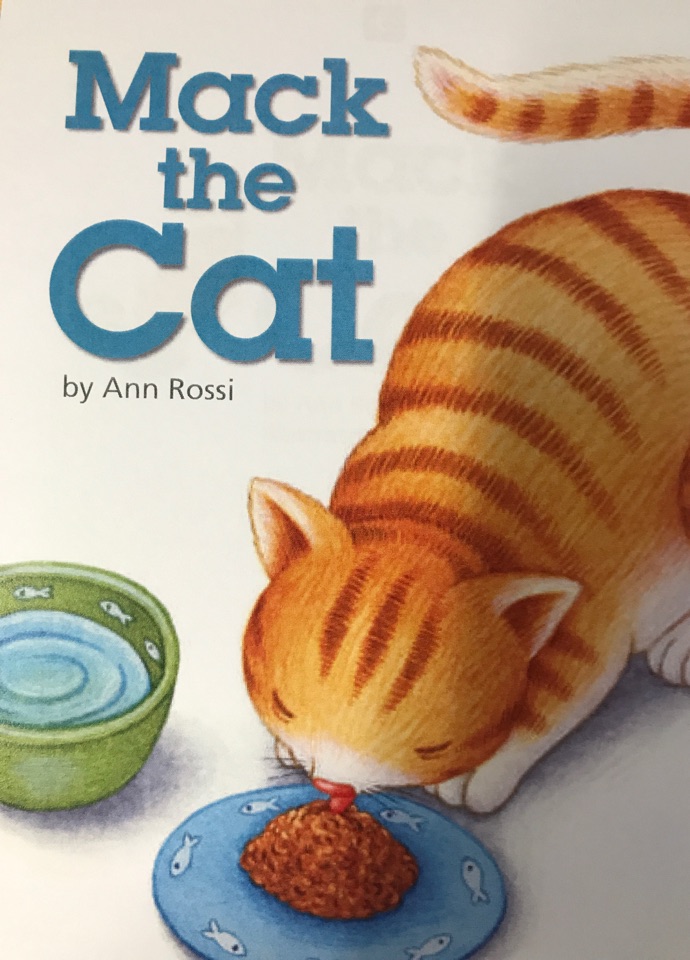 1.1.1 Mack the Cat