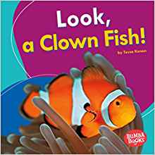 Look, a Clown Fish! (Bumba Books I See