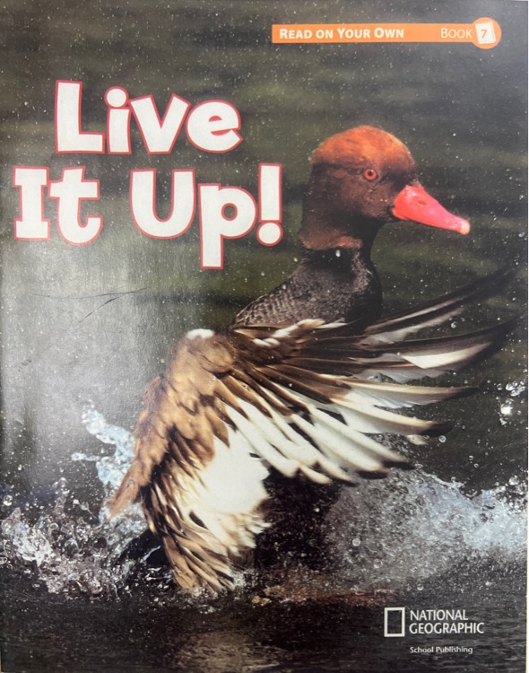 Reach into Phonics 1 (Read On Your Own