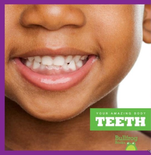 Teeth
