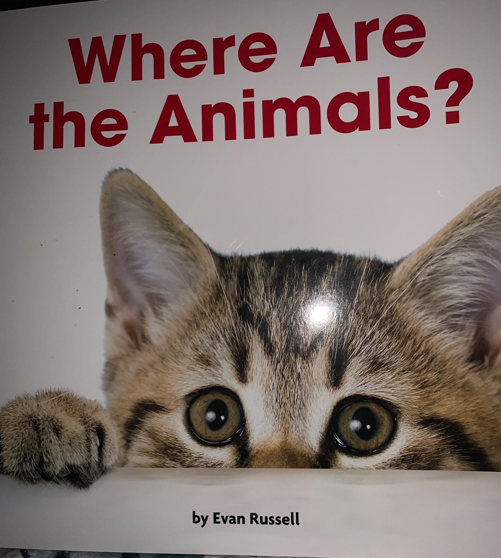 where are the animals