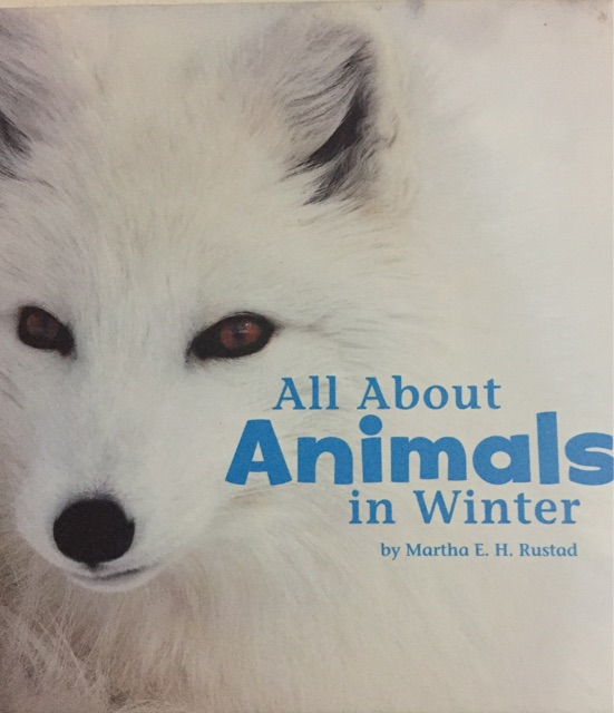 All about Animals in Winter