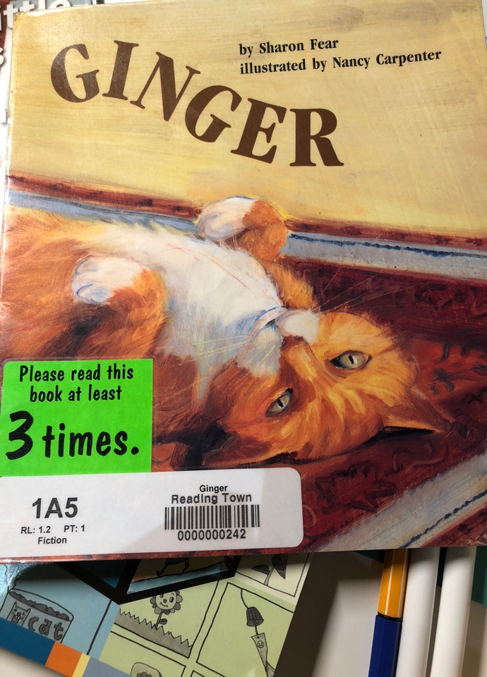 Ginger