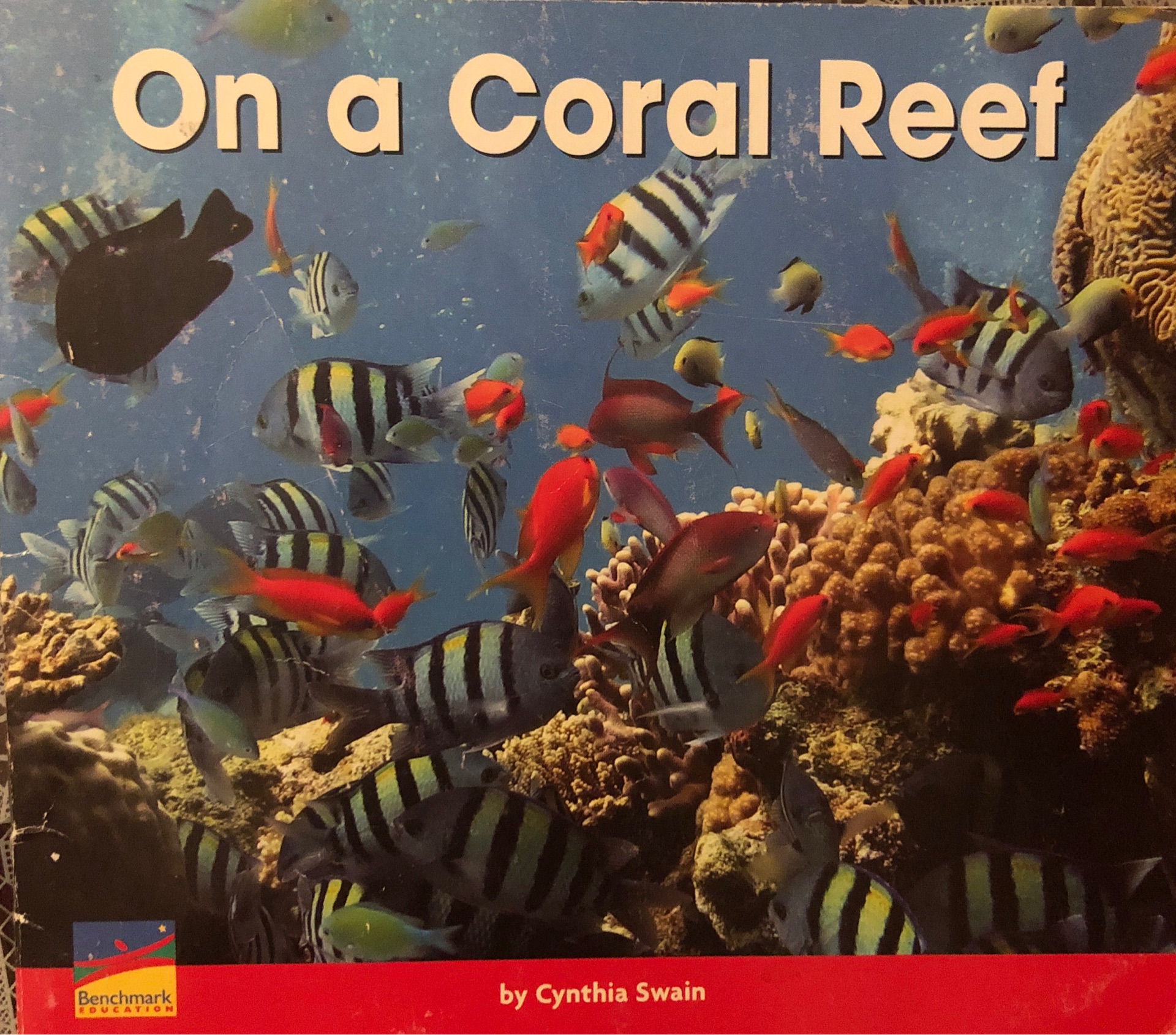 On a coral reef