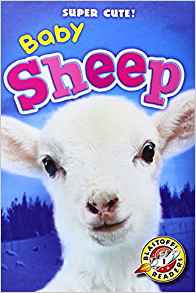 Baby Sheep (Blastoff Readers: Super Cu