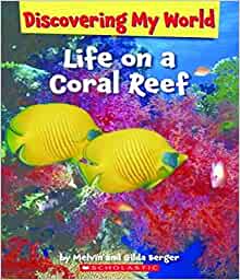 Life on a Coral Reef