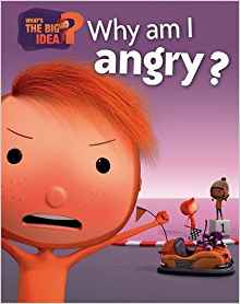 Why am I Angry? (What's the Big Idea?)