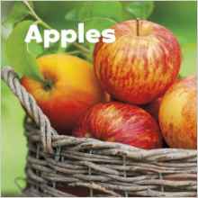 Apples (Little Pebble: Celebrate Autum