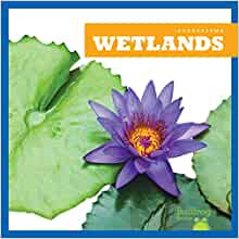 Wetlands (Bullfrog Books: Ecosystems)