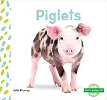 Piglets (Baby Animals)