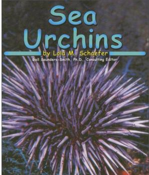 Sea Urchins (Ocean Life)