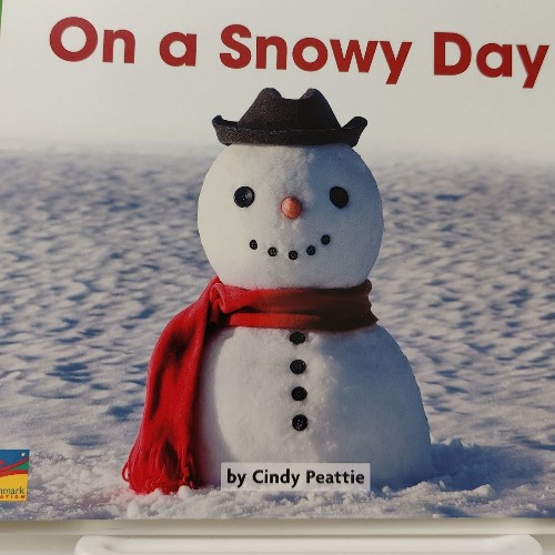 On a Snowy Day
