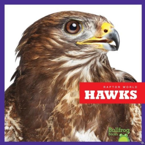 Hawks