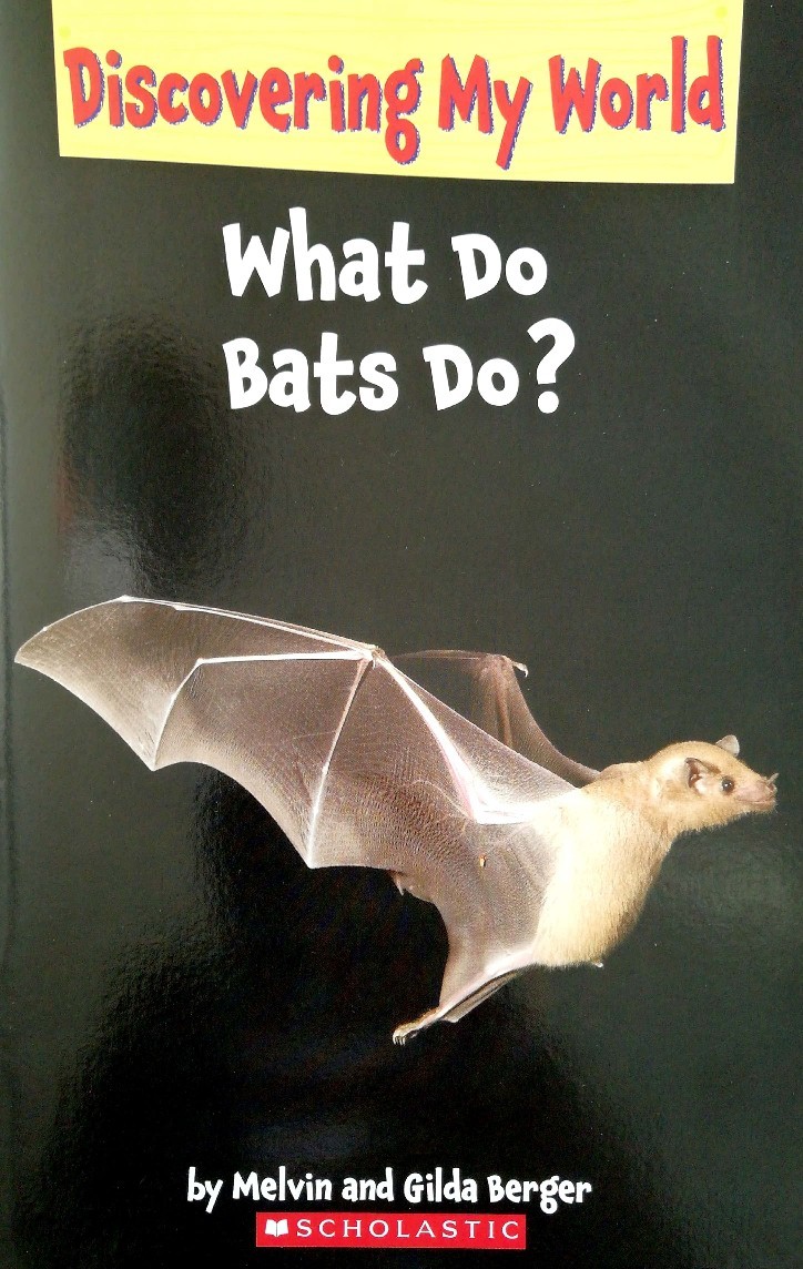 What Do Bats Do?