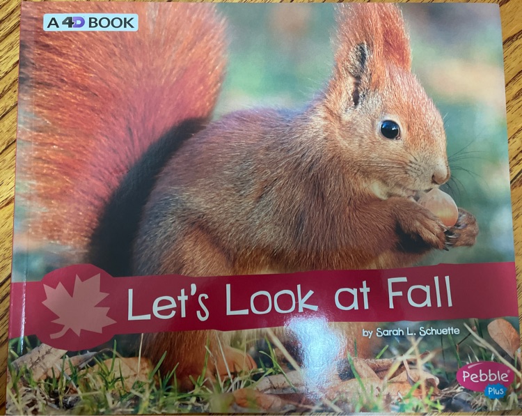 Let's Look at Fall