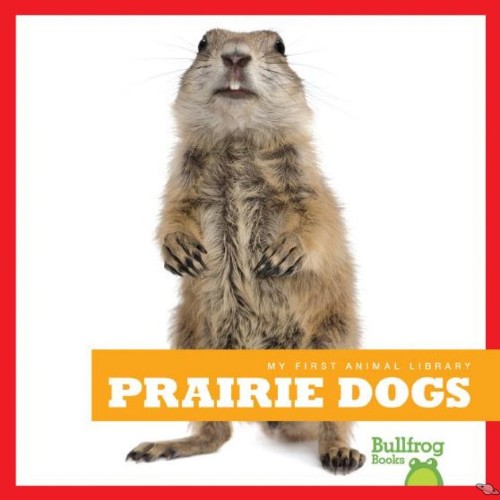 Prairie Dogs